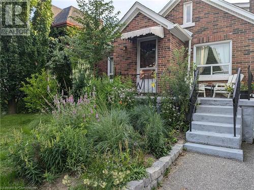 Summer photo shows front gardens in bloom - 53 Hett Avenue, Kitchener, ON - Outdoor