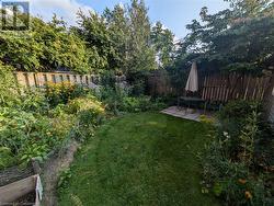 Summer photo of lush backyard - 