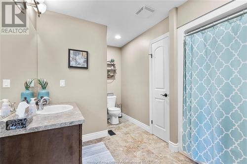 250 Cameron Court, Lakeshore, ON - Indoor Photo Showing Bathroom