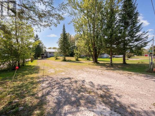 183 Mcguire Beach Road, Kawartha Lakes, ON - Outdoor With View