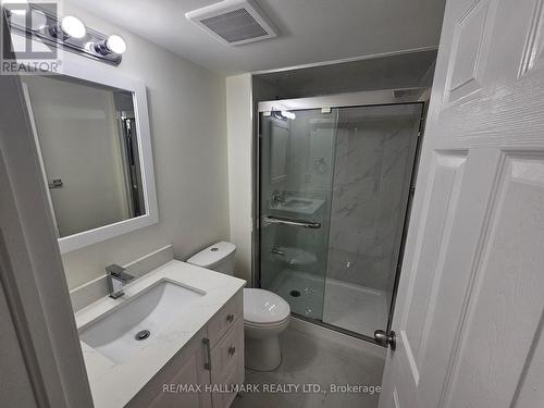 Bsmt - 29 Sheepberry Terrace, Brampton, ON - Indoor Photo Showing Bathroom