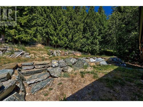 2943 Hopwood Road, North Shuswap, BC - Outdoor