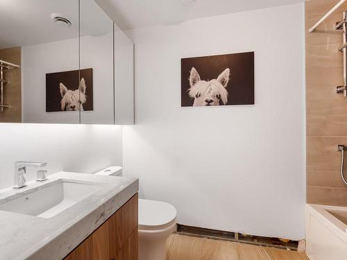 Salle de bains - 314-101 Rue Peel, Montréal (Le Sud-Ouest), QC - Indoor Photo Showing Bathroom