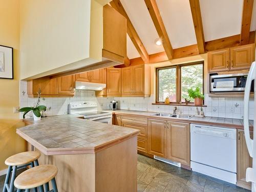 Kitchen - 195 Rue Du Pré, Eastman, QC - Indoor Photo Showing Kitchen With Double Sink