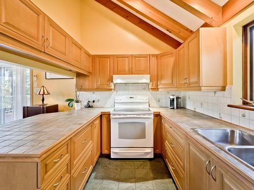 Kitchen - 195 Rue Du Pré, Eastman, QC - Indoor Photo Showing Kitchen