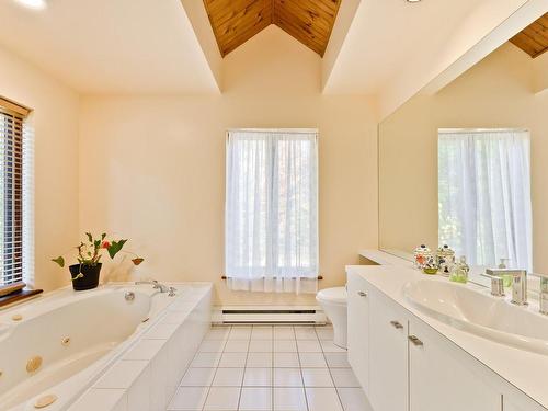 Bathroom - 195 Rue Du Pré, Eastman, QC - Indoor Photo Showing Bathroom