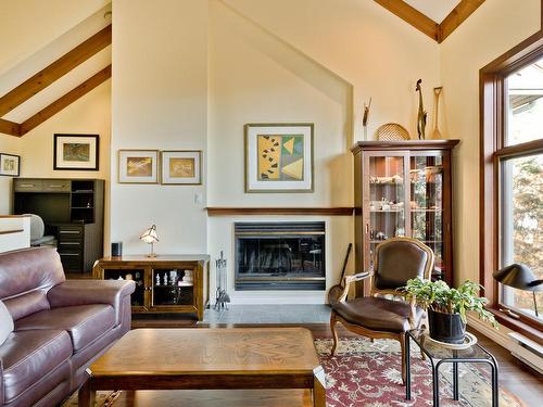 Living room - 195 Rue Du Pré, Eastman, QC - Indoor Photo Showing Living Room With Fireplace