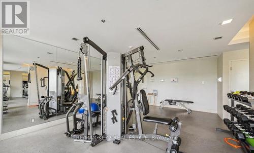 205 - 1215 Bayly Street, Pickering, ON - Indoor Photo Showing Gym Room