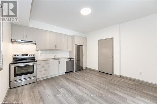 2A - 36 Grant Avenue, Hamilton, ON - Indoor Photo Showing Kitchen With Stainless Steel Kitchen