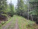 Lot 2 Bischoff Road, North Shuswap, BC 