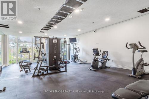 517 - 2511 Lakeshore Road W, Oakville, ON - Indoor Photo Showing Gym Room