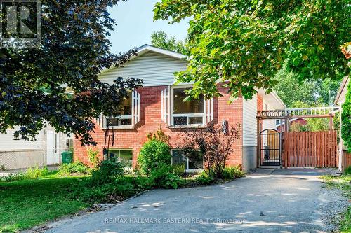 769 Trailview Drive, Peterborough (Ashburnham), ON - Outdoor