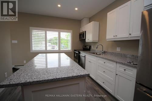 53 Leahy'S Lane, Peterborough (Ashburnham), ON - Indoor Photo Showing Kitchen With Double Sink