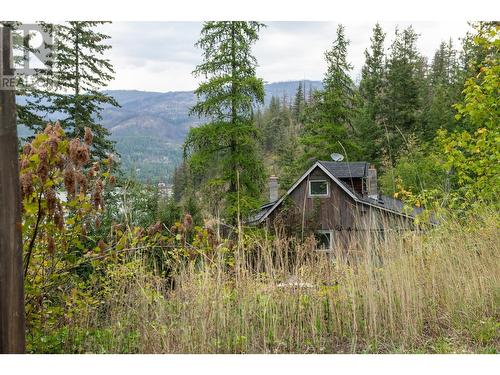 3045 Lindberg Road, South Shuswap, BC - Outdoor With View