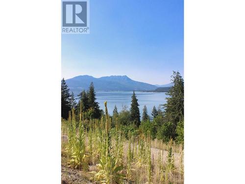 3648 Braelyn Road Unit# 11, South Shuswap, BC 