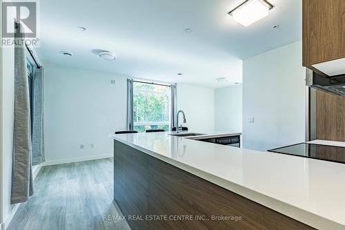 208 - 455 Charlton Avenue E, Hamilton, ON - Indoor Photo Showing Kitchen