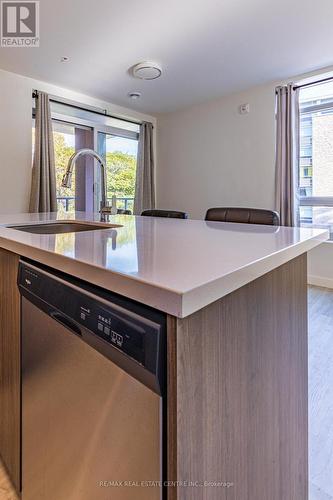 208 - 455 Charlton Avenue E, Hamilton, ON - Indoor Photo Showing Kitchen