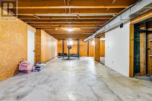 173 Baird Avenue, Wheatley, ON - Indoor Photo Showing Basement