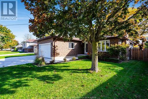 173 Baird Avenue, Wheatley, ON - Outdoor