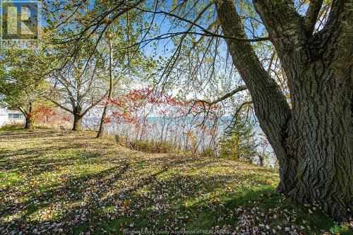 1620 Tilton Line, Wheatley, ON - Outdoor With View