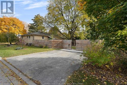 3505 Maisonneuve, Windsor, ON - Outdoor