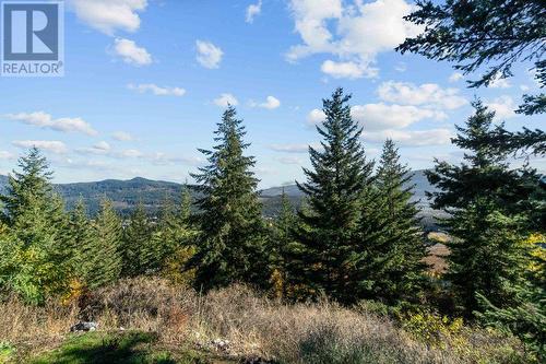 2506 Highlands Drive, Blind Bay, BC - Outdoor With View