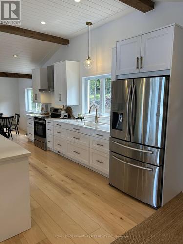 189 Lightning Point Road, Kawartha Lakes, ON - Indoor Photo Showing Kitchen