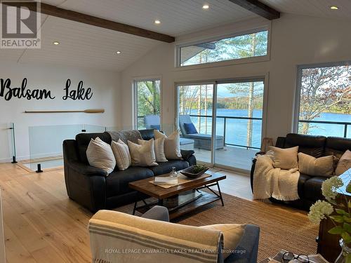 189 Lightning Point Road, Kawartha Lakes, ON - Indoor Photo Showing Living Room