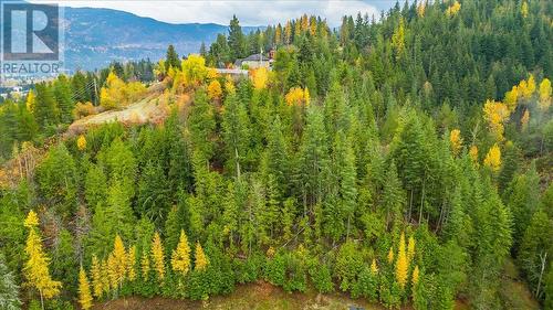 825 Merrycreek Road Unit# 111, Castlegar, BC - Outdoor With View