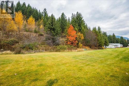 825 Merrycreek Road Unit# 111, Castlegar, BC - Outdoor With View