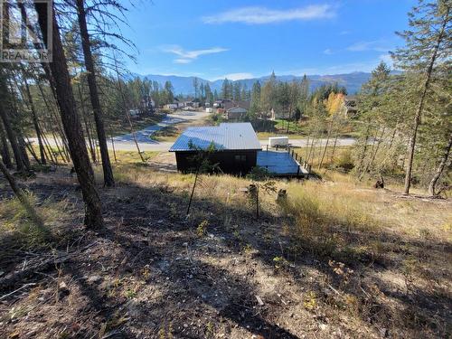 4834 Mountain View Drive, Fairmont Hot Springs, BC - Outdoor With View