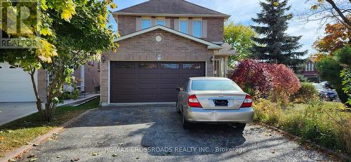 50 Mcinnes Crescent, Toronto, ON - Outdoor