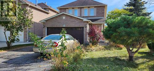 50 Mcinnes Crescent, Toronto, ON - Outdoor