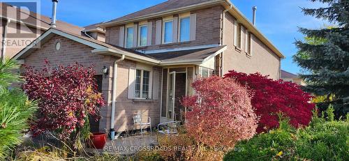 50 Mcinnes Crescent, Toronto, ON - Outdoor