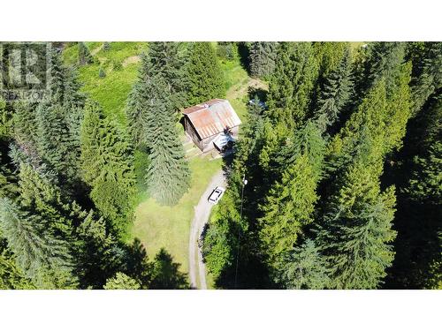 106 Baldwin Road Road, Hills, BC - Outdoor