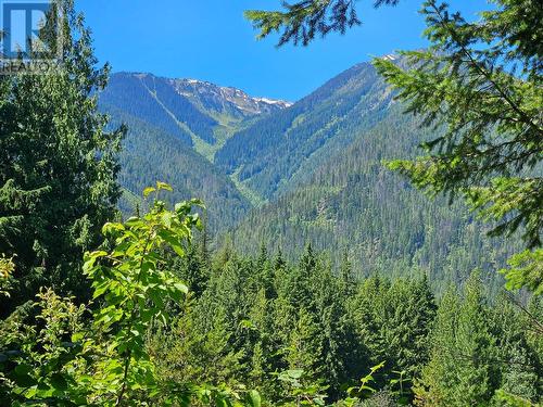 106 Baldwin Road Road, Hills, BC - Outdoor With View