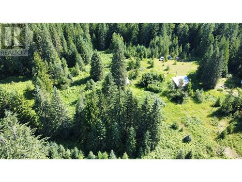 106 Baldwin Road Road, Hills, BC - Outdoor With View