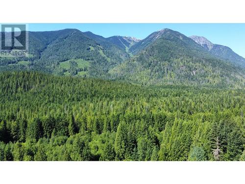 106 Baldwin Road Road, Hills, BC - Outdoor With View