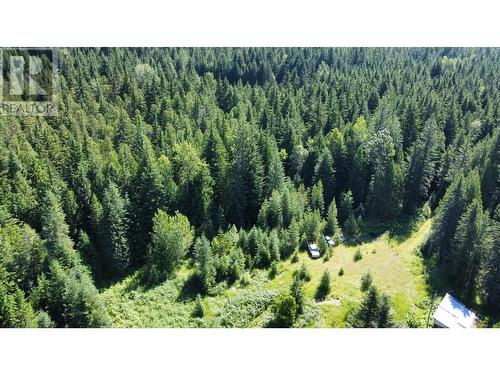 106 Baldwin Road Road, Hills, BC - Outdoor With View