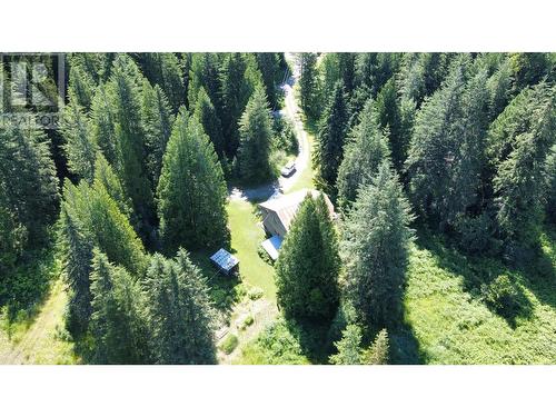 106 Baldwin Road Road, Hills, BC - Outdoor With View