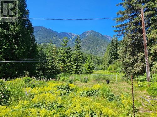 106 Baldwin Road Road, Hills, BC - Outdoor With View