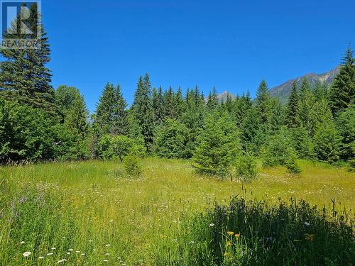 106 Baldwin Road Road, Hills, BC - Outdoor With View