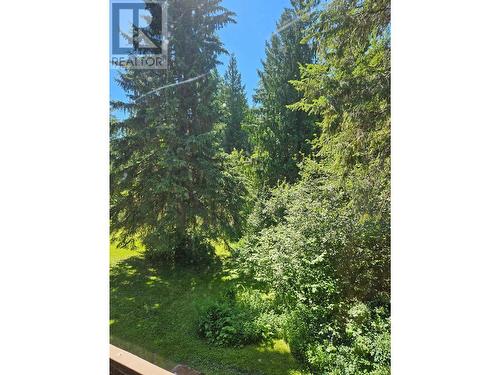 106 Baldwin Road Road, Hills, BC - Outdoor