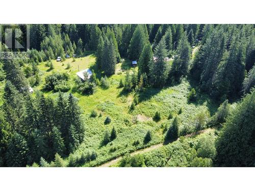 106 Baldwin Road Road, Hills, BC - Outdoor With View