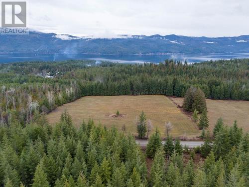 6057 Line 17 Road, North Shuswap, BC - Outdoor With View