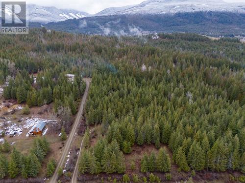 6057 Line 17 Road, North Shuswap, BC - Outdoor With View