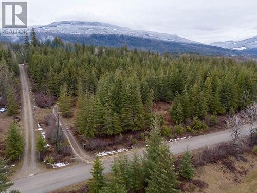 6057 Line 17 Road, North Shuswap, BC - Outdoor With View