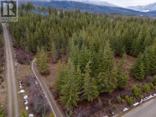 6057 Line 17 Road, North Shuswap, BC - Outdoor With View