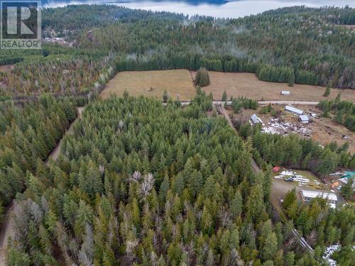 6057 Line 17 Road, North Shuswap, BC - Outdoor With View