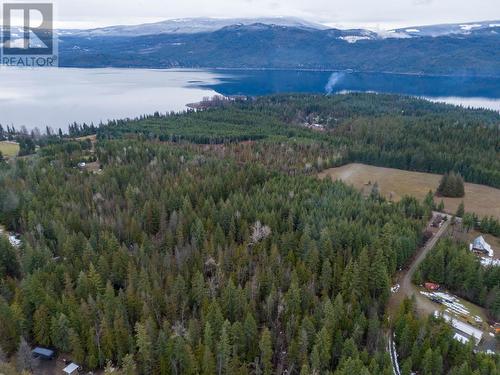 6057 Line 17 Road, North Shuswap, BC - Outdoor With View